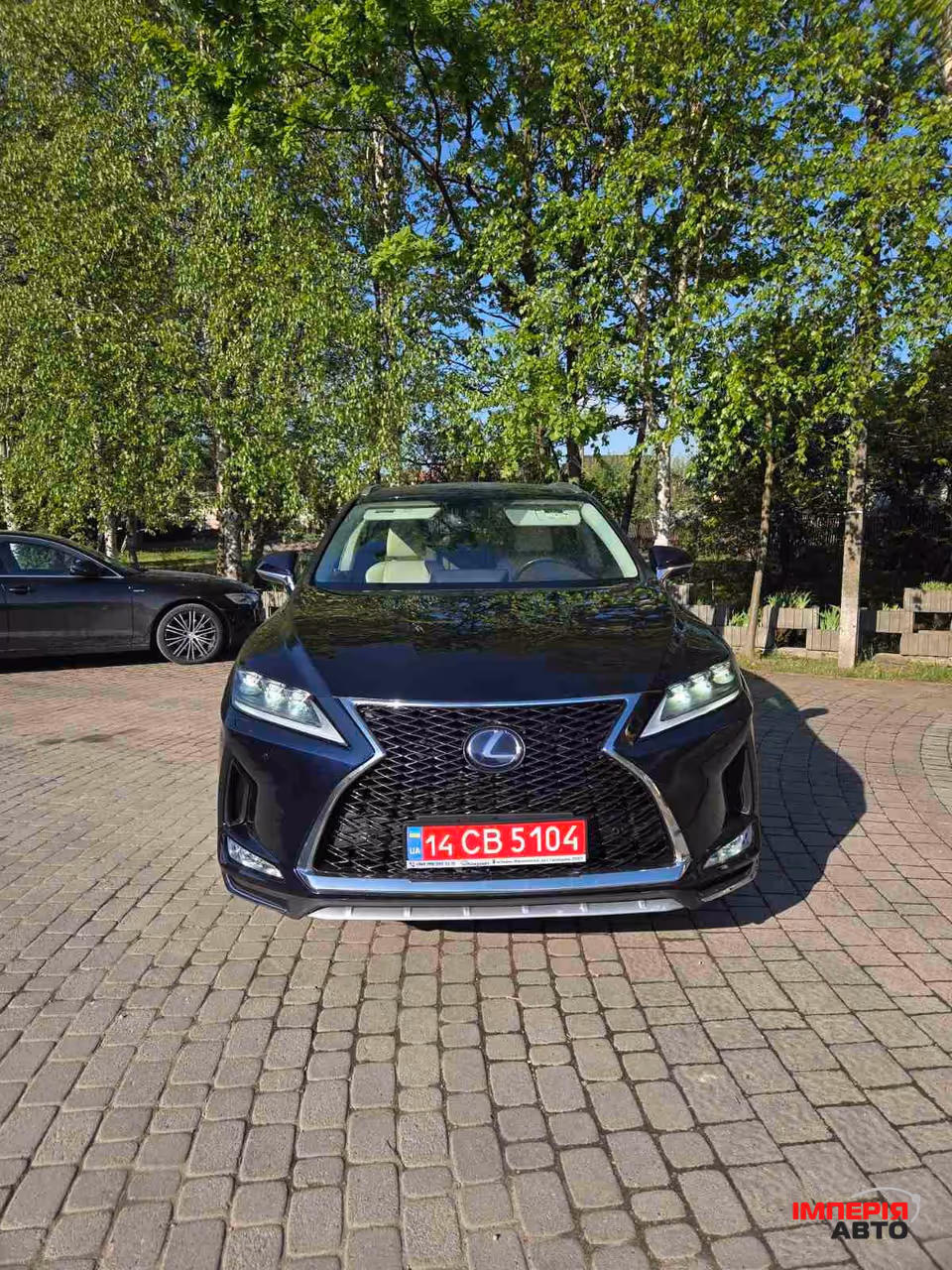 Lexus RX - фото 3