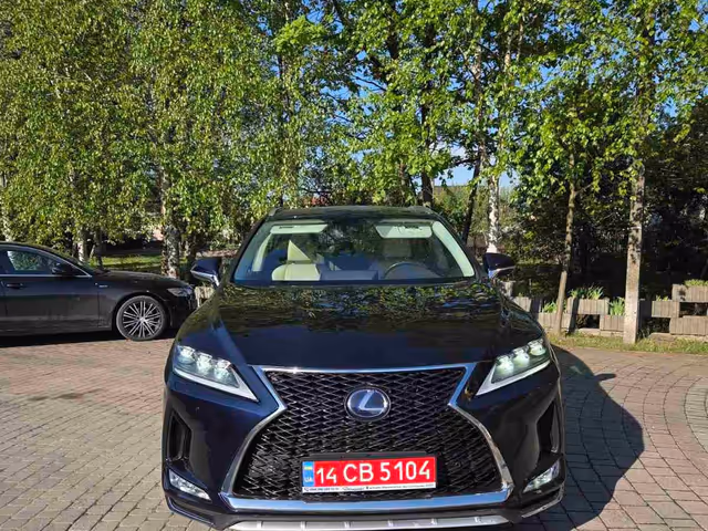 Lexus RX - фото 3