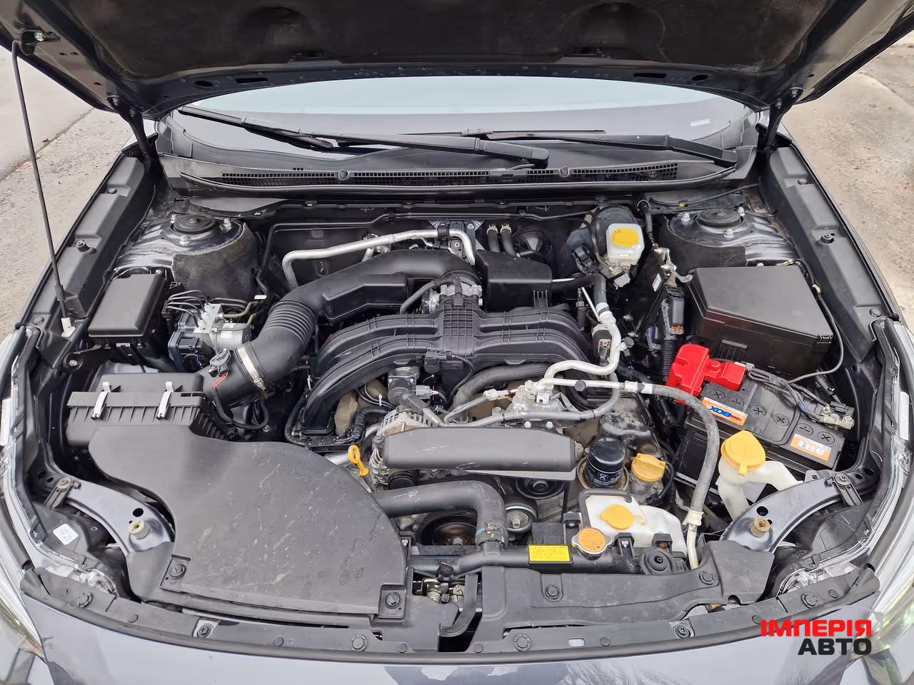 Subaru Outback - фото 45