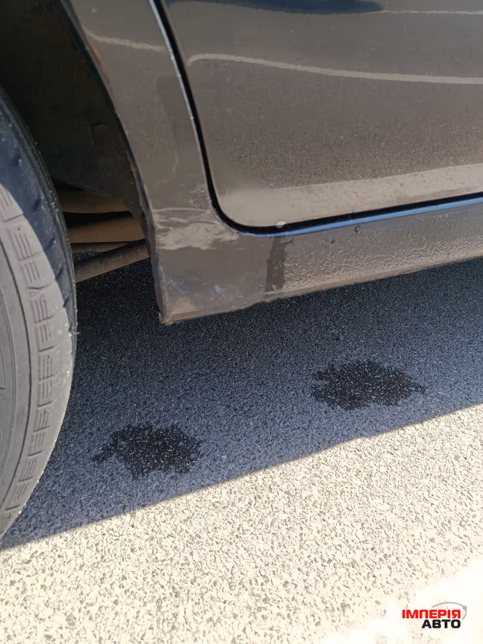 Kia Cerato - фото 12