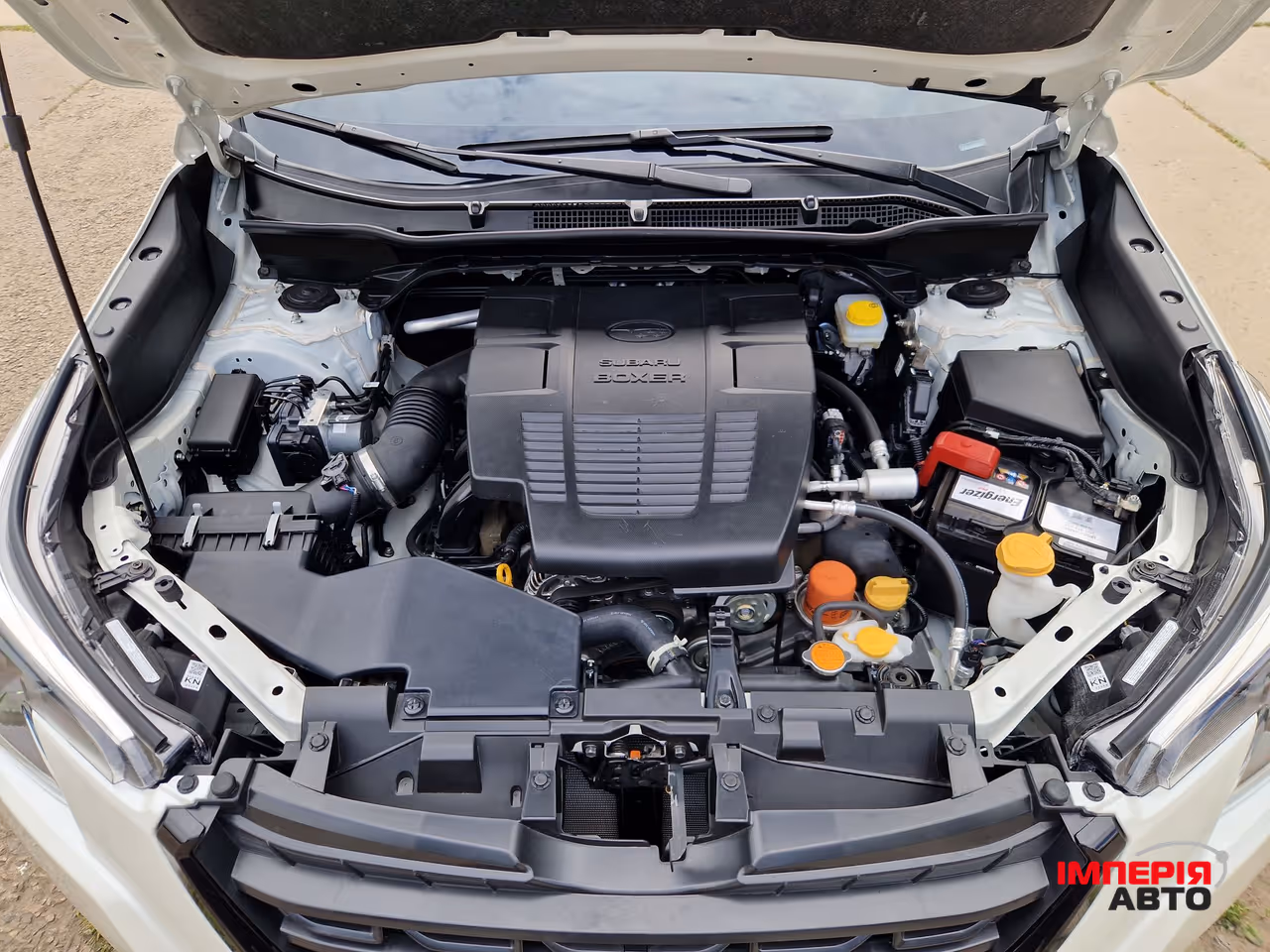 Subaru Forester - фото 38