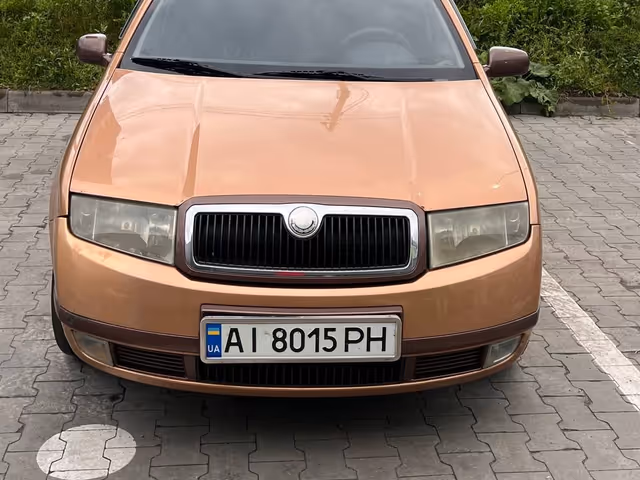 Skoda Fabia - фото 1