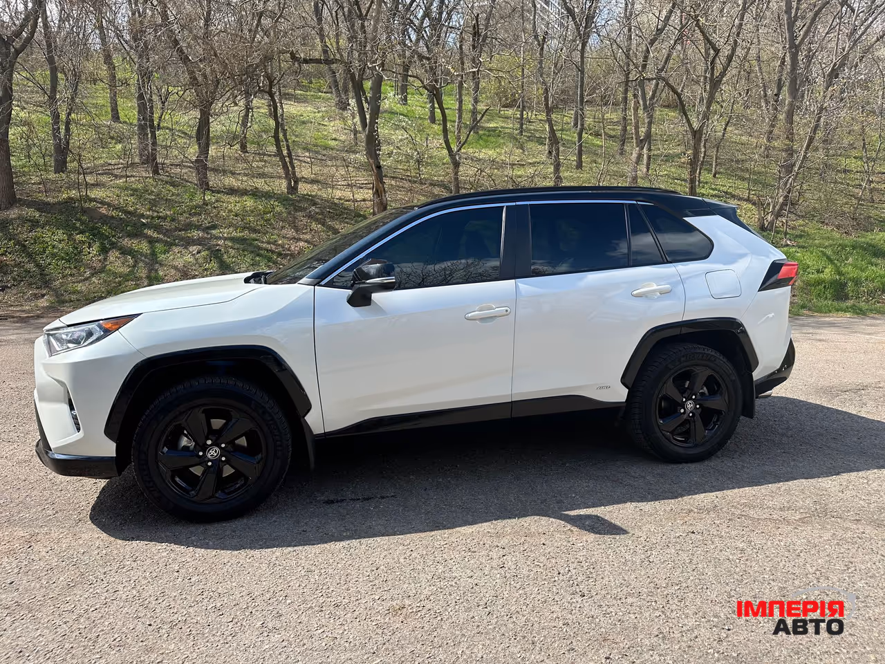 Toyota RAV4 - фото 16