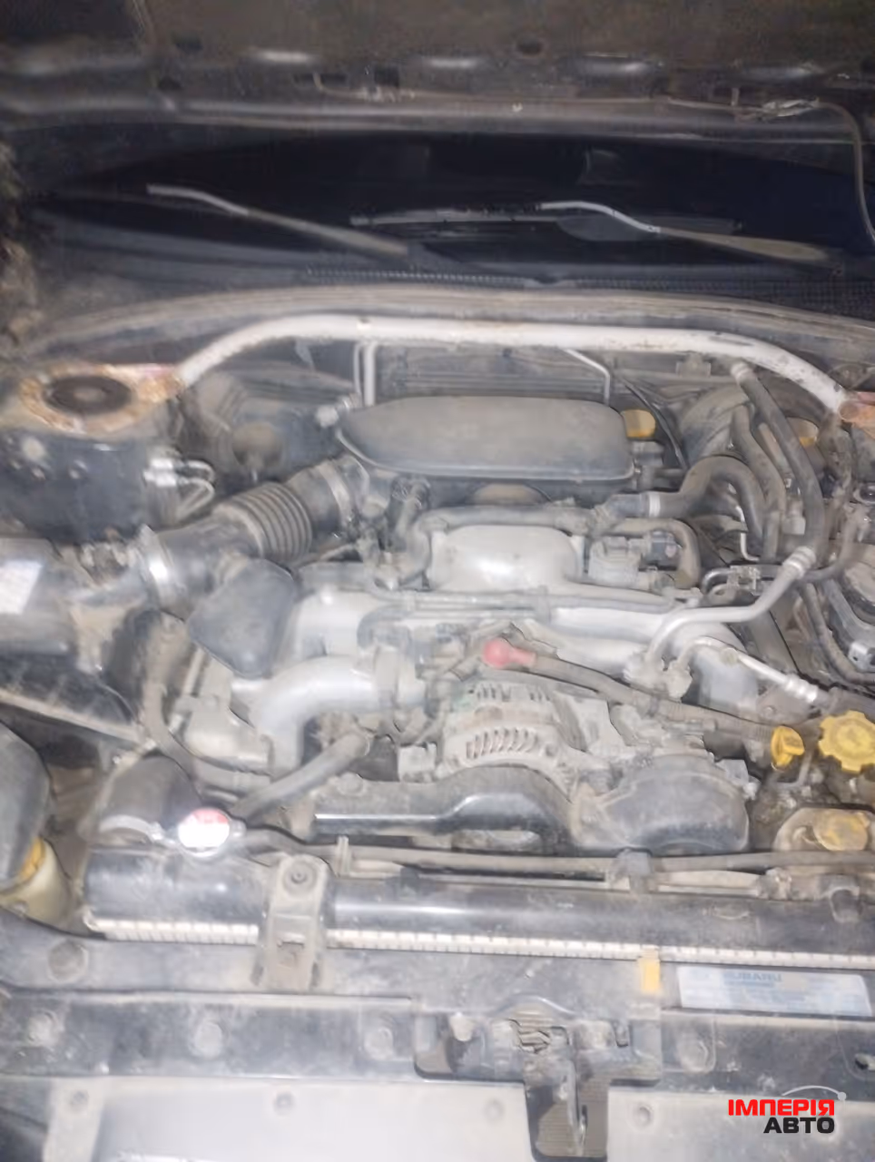Subaru Forester - фото 7
