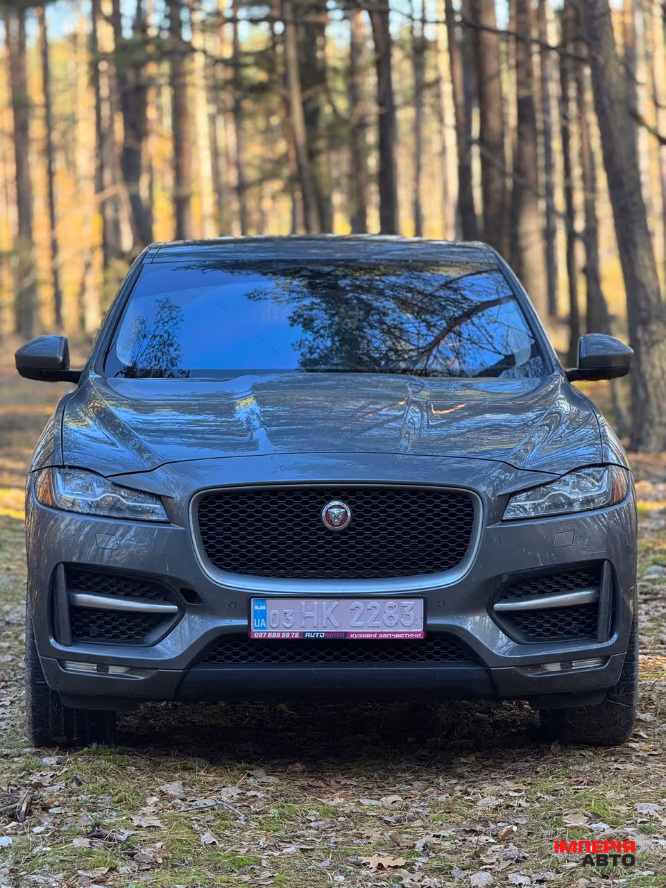 Jaguar F-Pace - фото 1