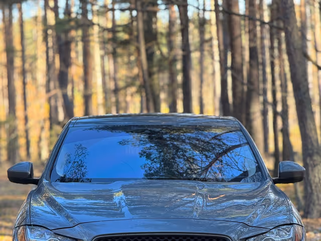 Jaguar F-Pace - фото 1