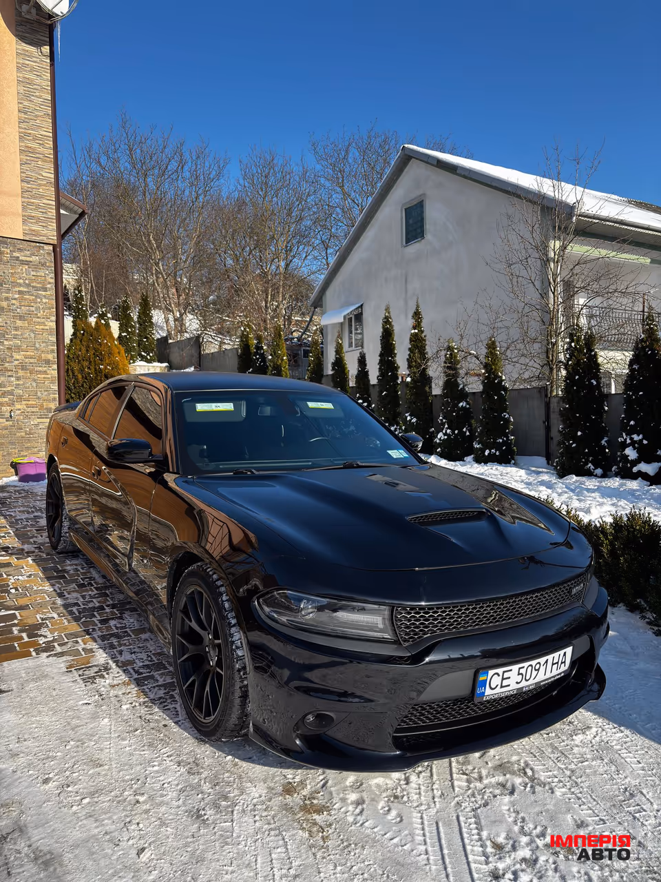 Dodge Charger - фото 39