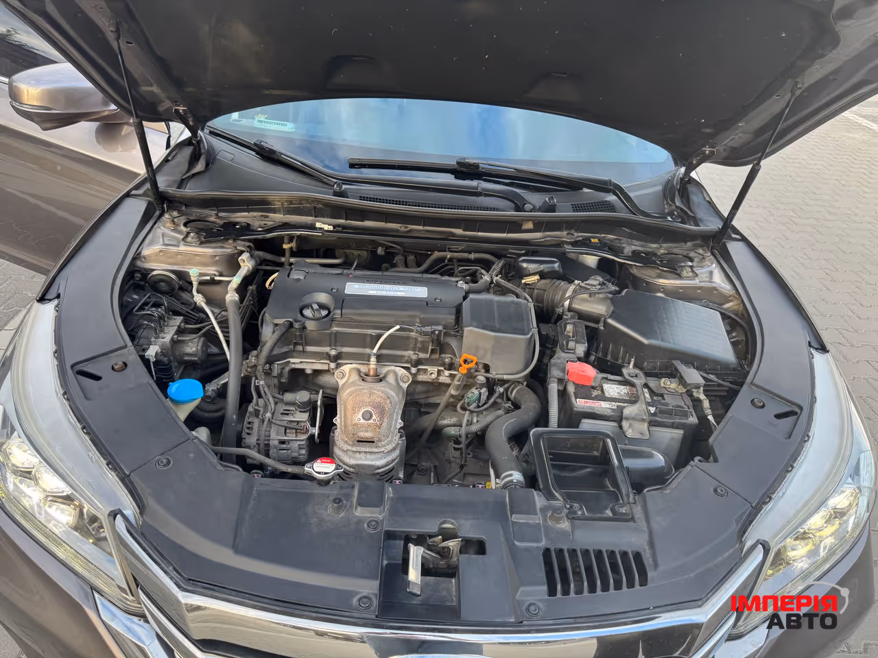 Honda Accord - фото 6