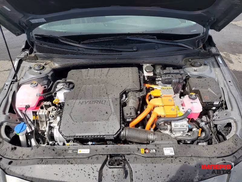 Hyundai Elantra - фото 9