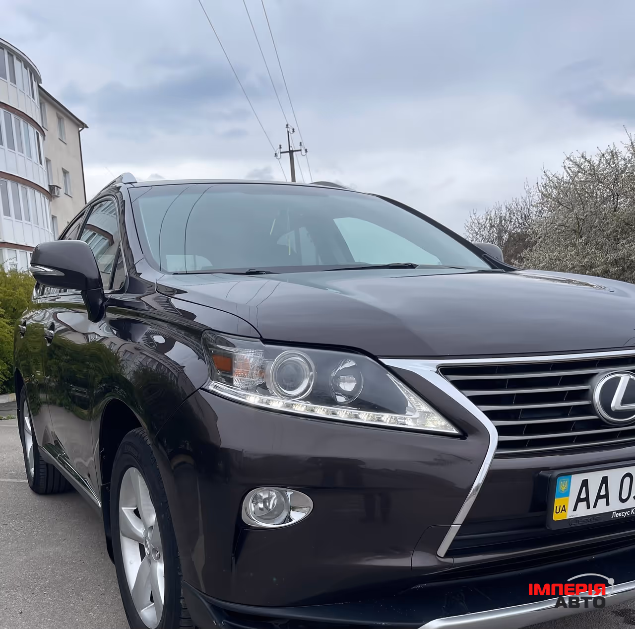 Lexus RX - фото 3
