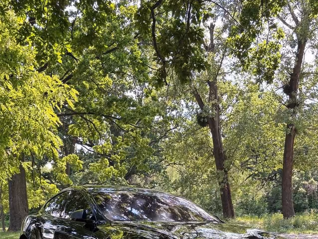 Tesla Model S - фото 1