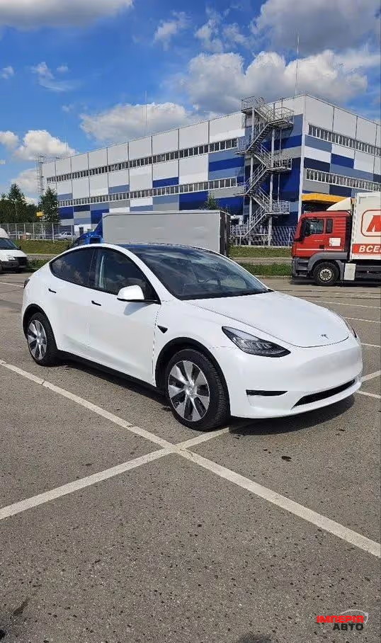 Tesla Model Y - фото 3