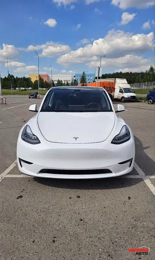 Tesla Model Y - фото 1