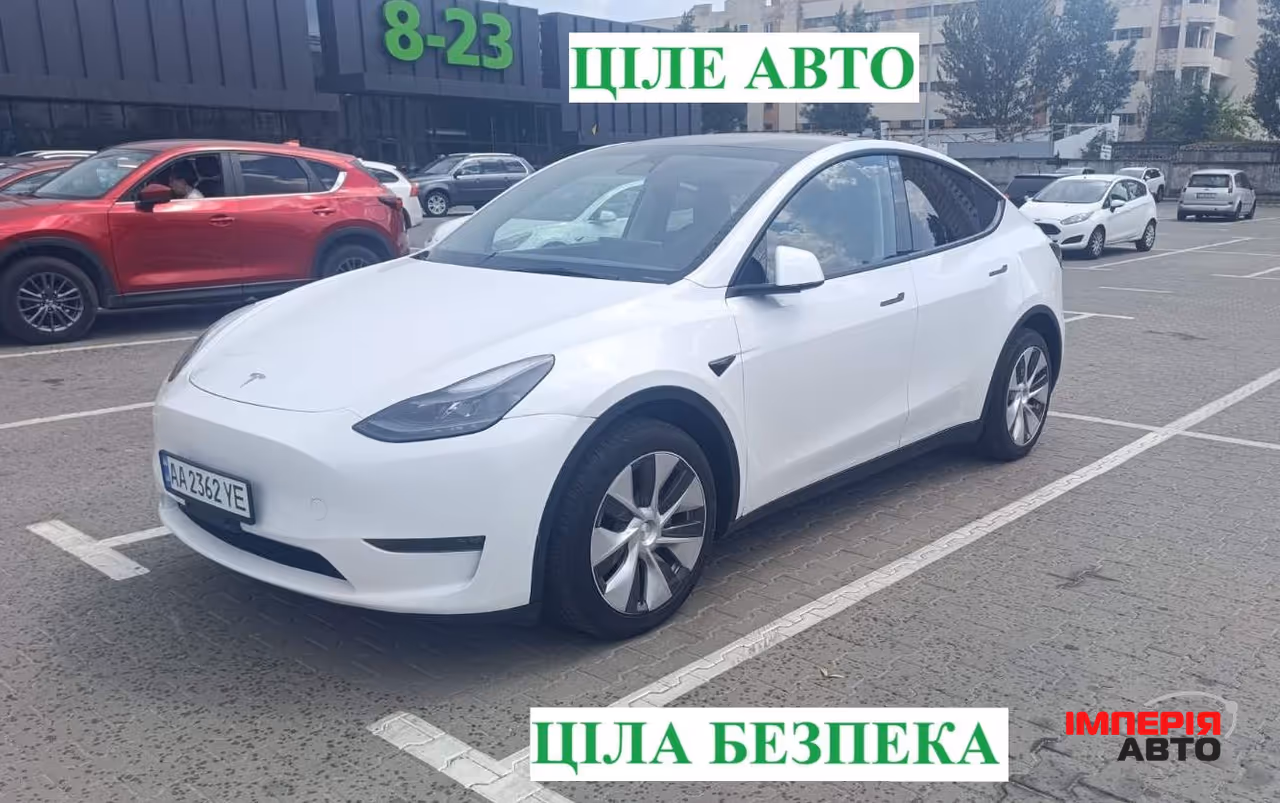 Tesla Model Y - фото 1