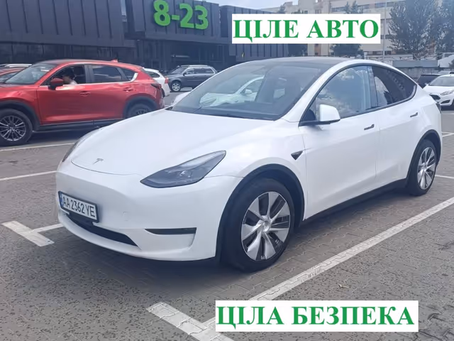 Tesla Model Y - фото 1