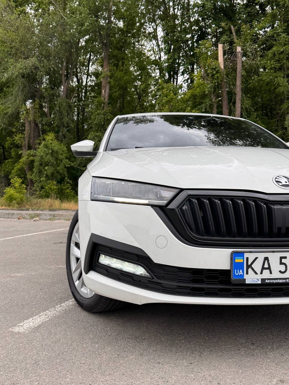 Skoda Octavia - фото 7