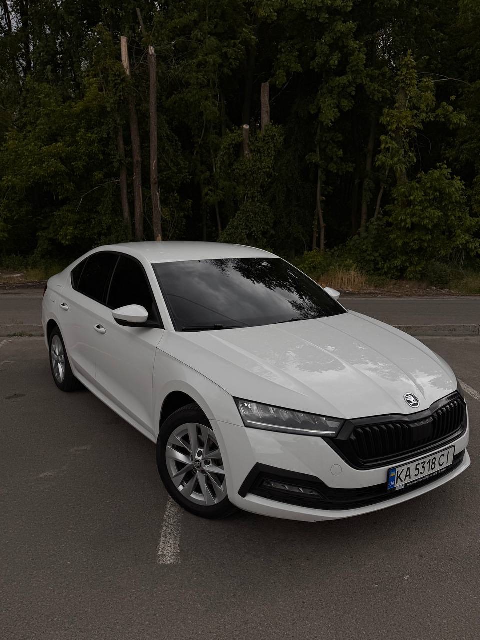 Skoda Octavia - фото 2