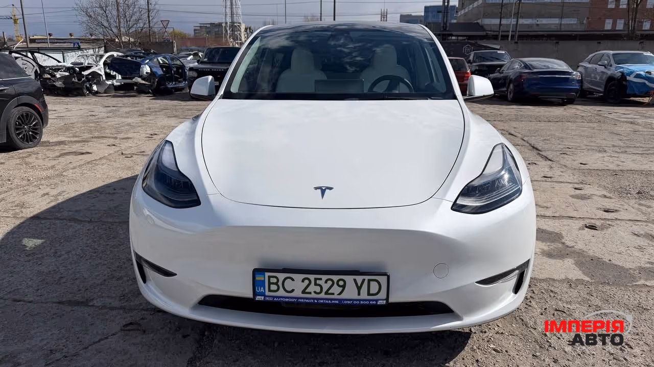 Tesla Model Y - фото 1