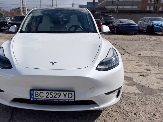 Tesla Model Y - фото 1