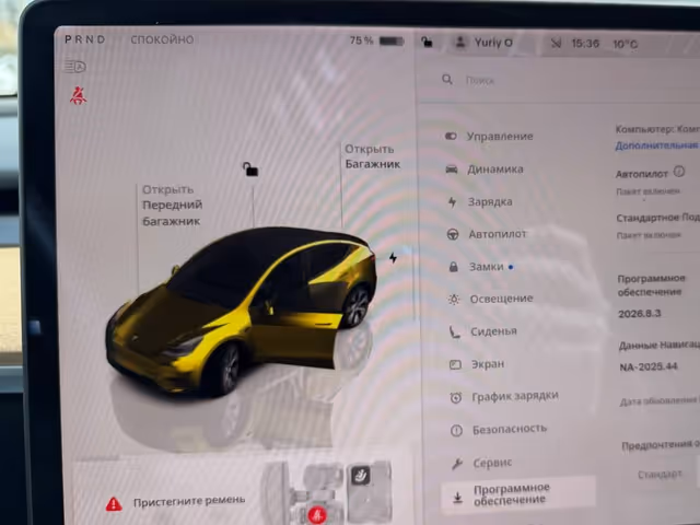 Tesla Model Y - фото 2