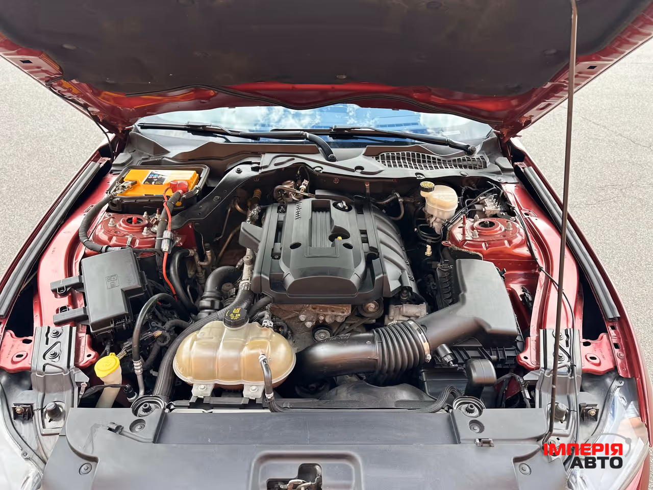 Ford Mustang - фото 16