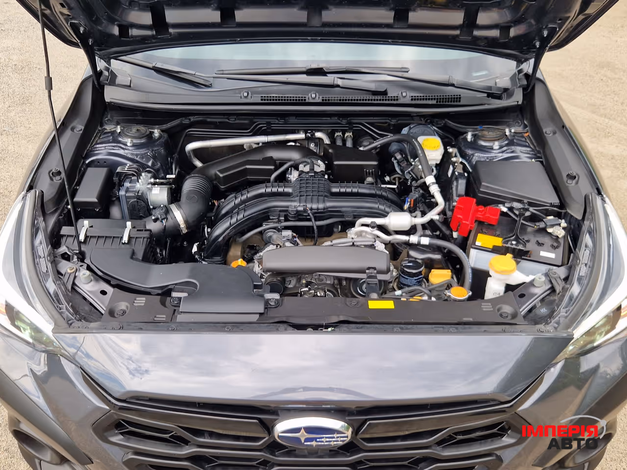 Subaru Crosstrek - фото 34