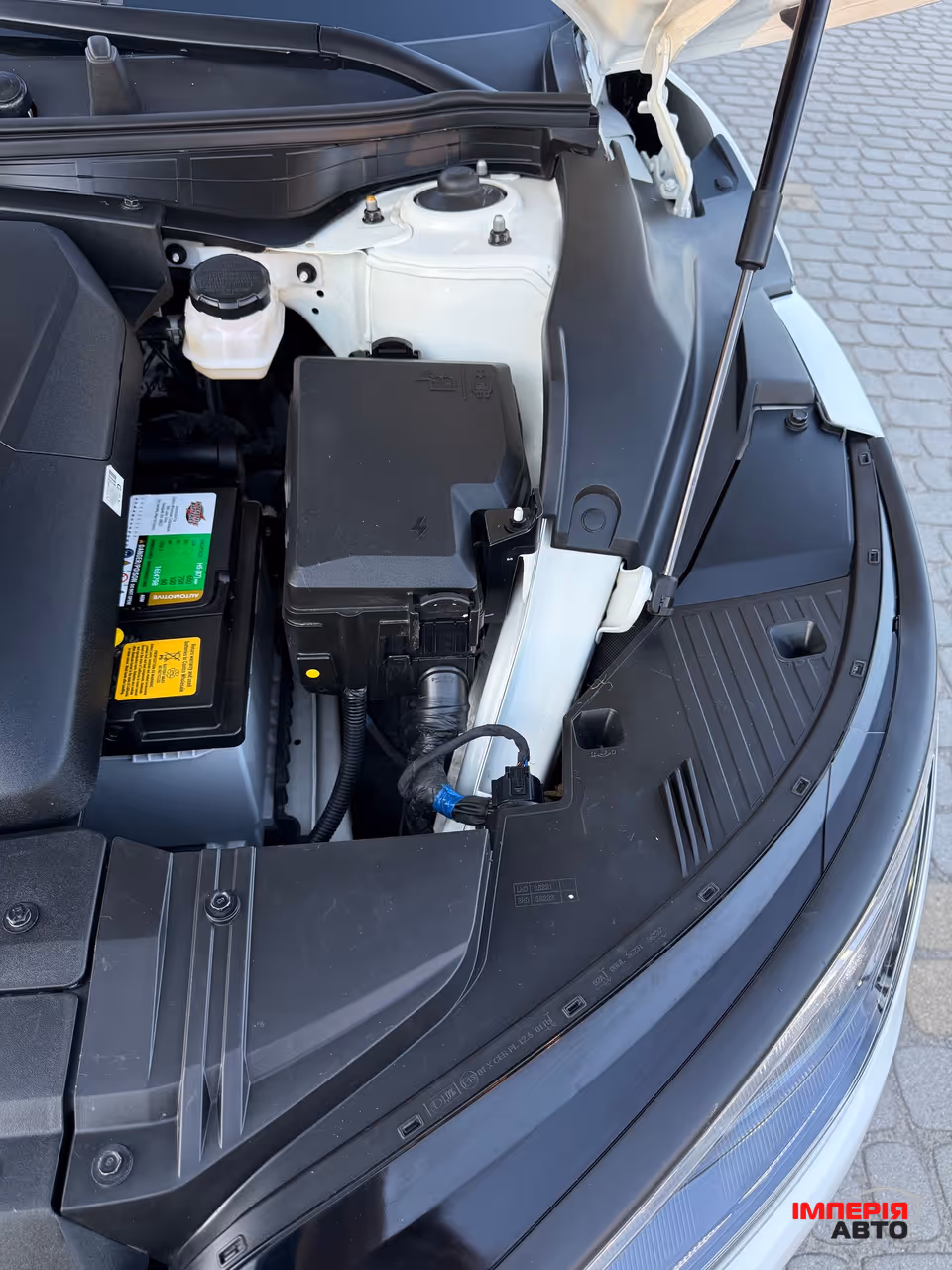 Kia EV6 - фото 60