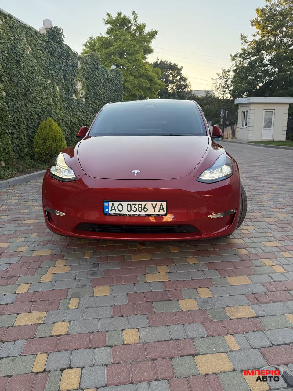 Tesla Model Y - фото 1