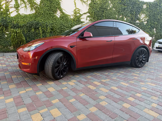 Tesla Model Y - фото 2