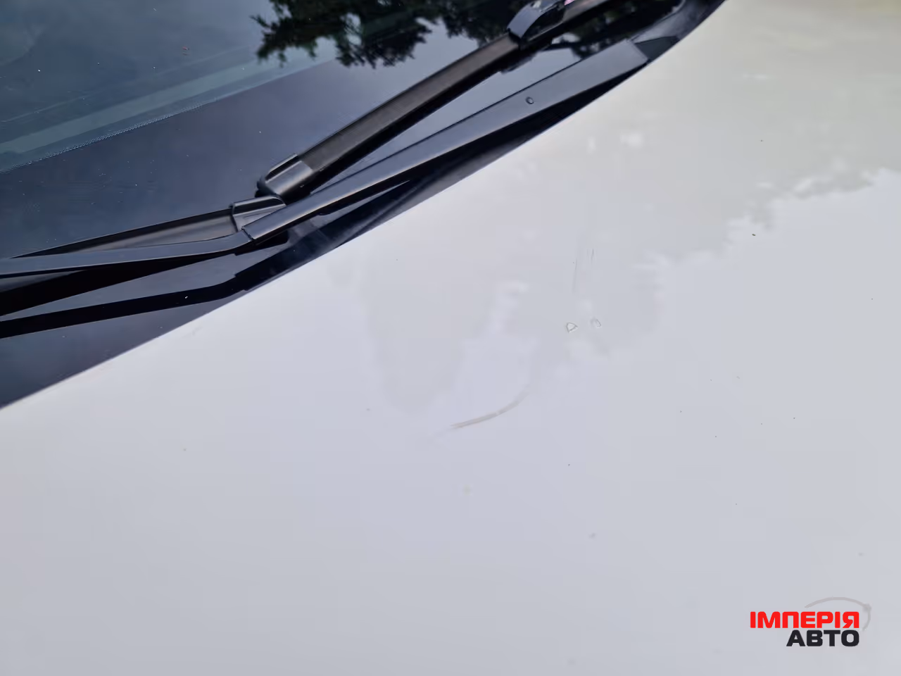 Subaru Legacy - фото 42