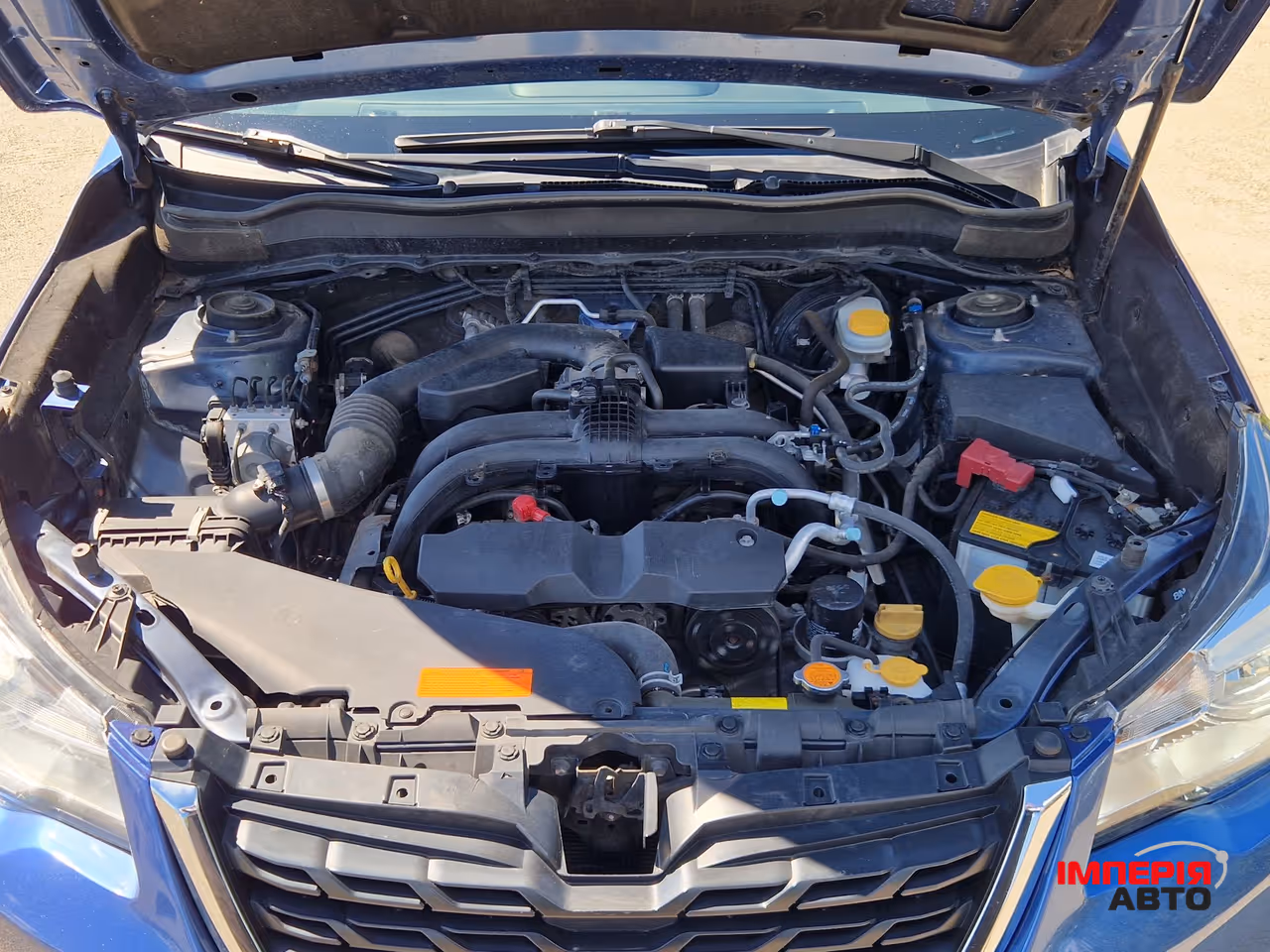 Subaru Forester - фото 27