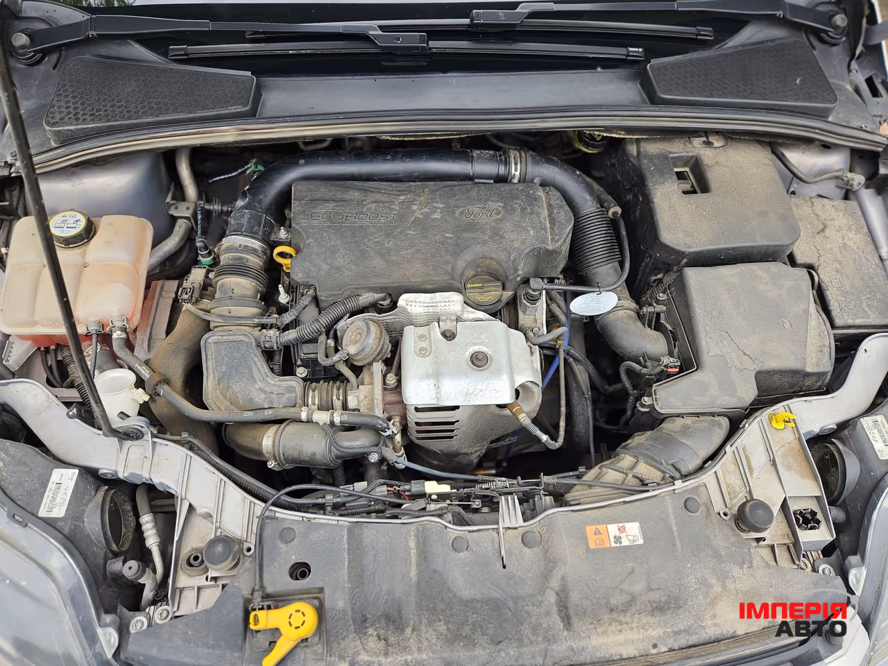 Ford Focus - фото 11