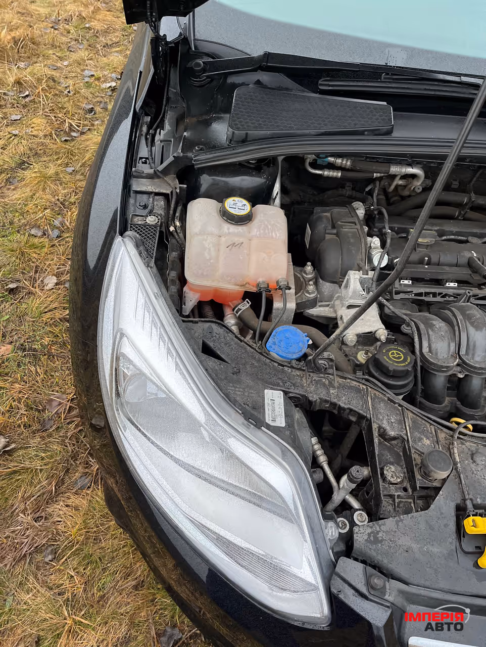 Ford Focus - фото 20
