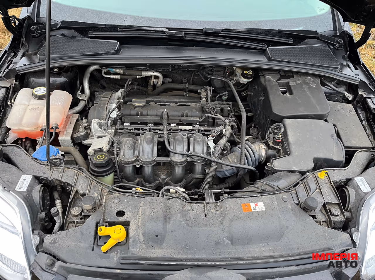 Ford Focus - фото 22