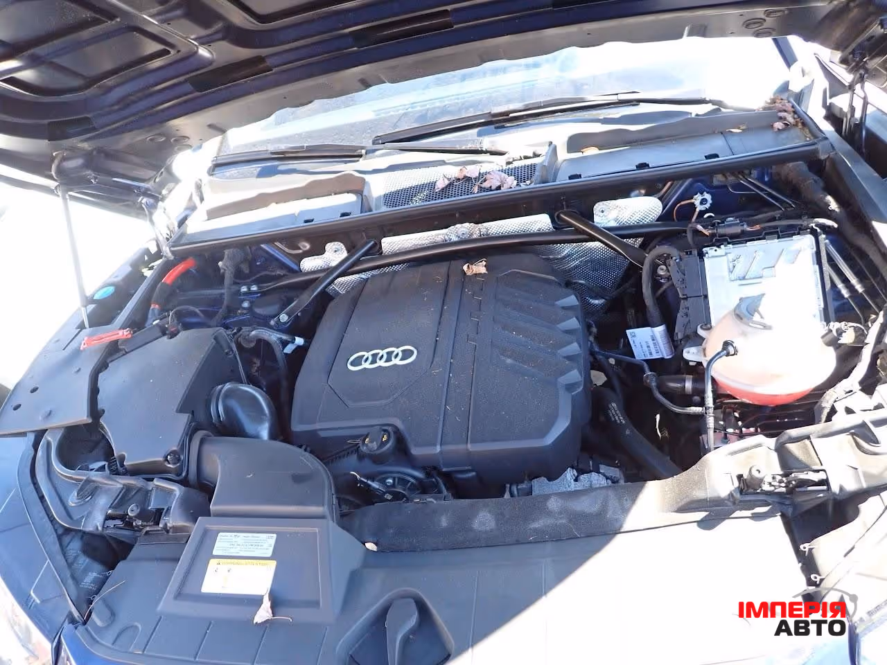 Audi Q5 - фото 31