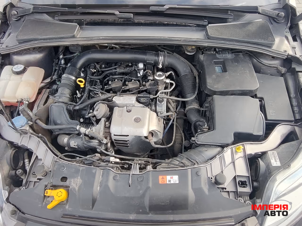 Ford Focus - фото 12