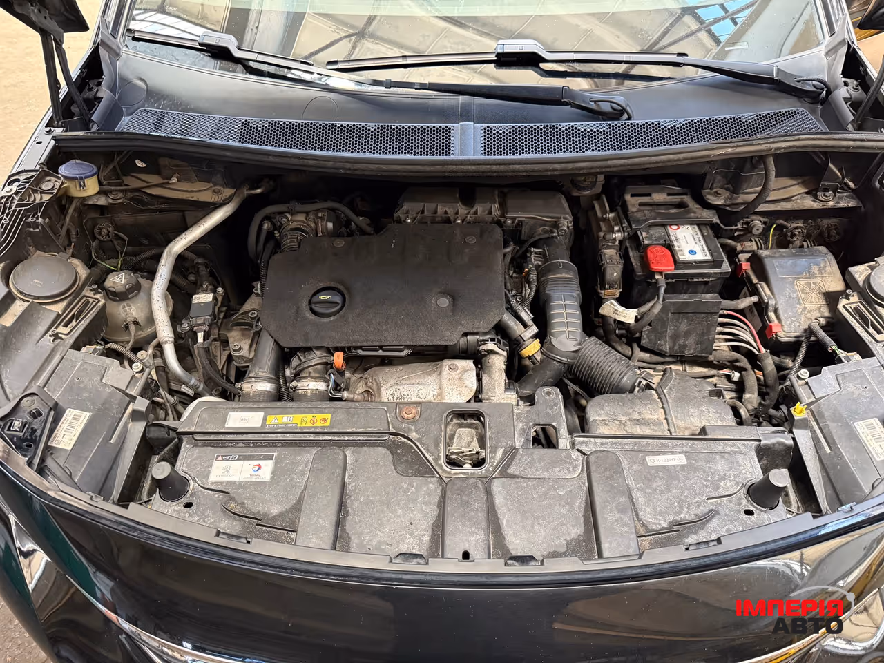 Peugeot 3008 - фото 10