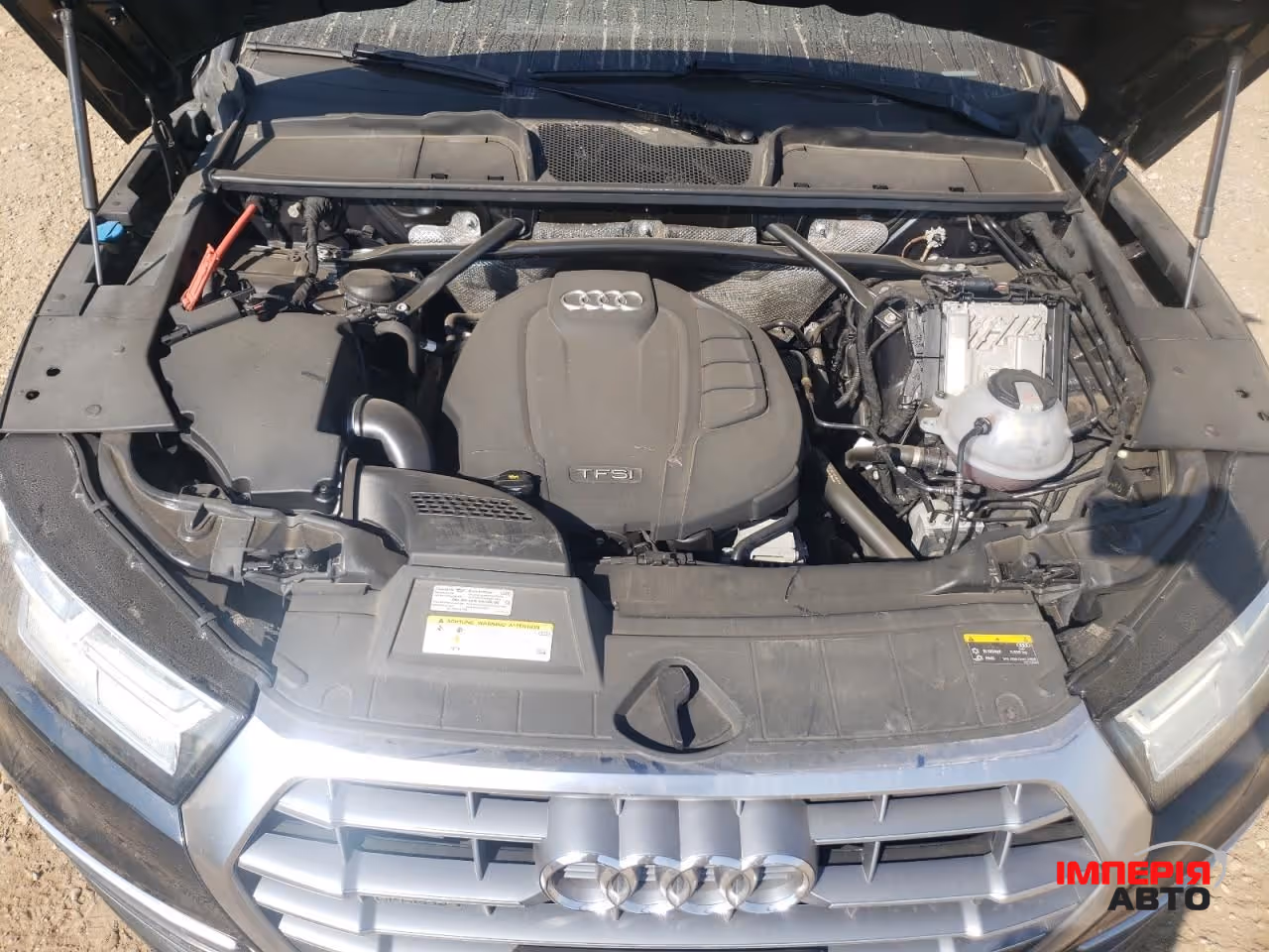 Audi Q5 - фото 11