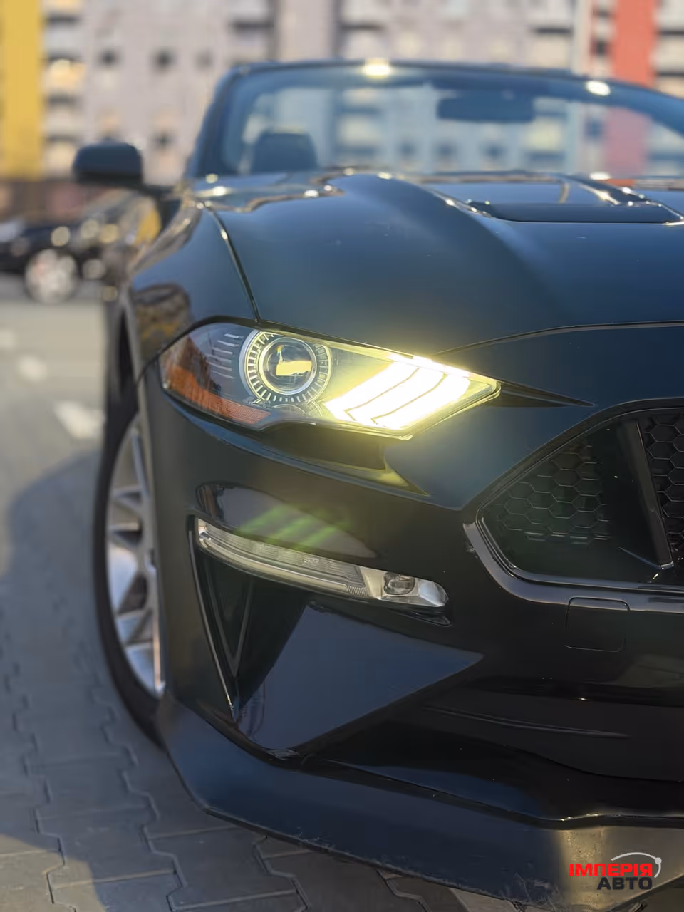 Ford Mustang - фото 5