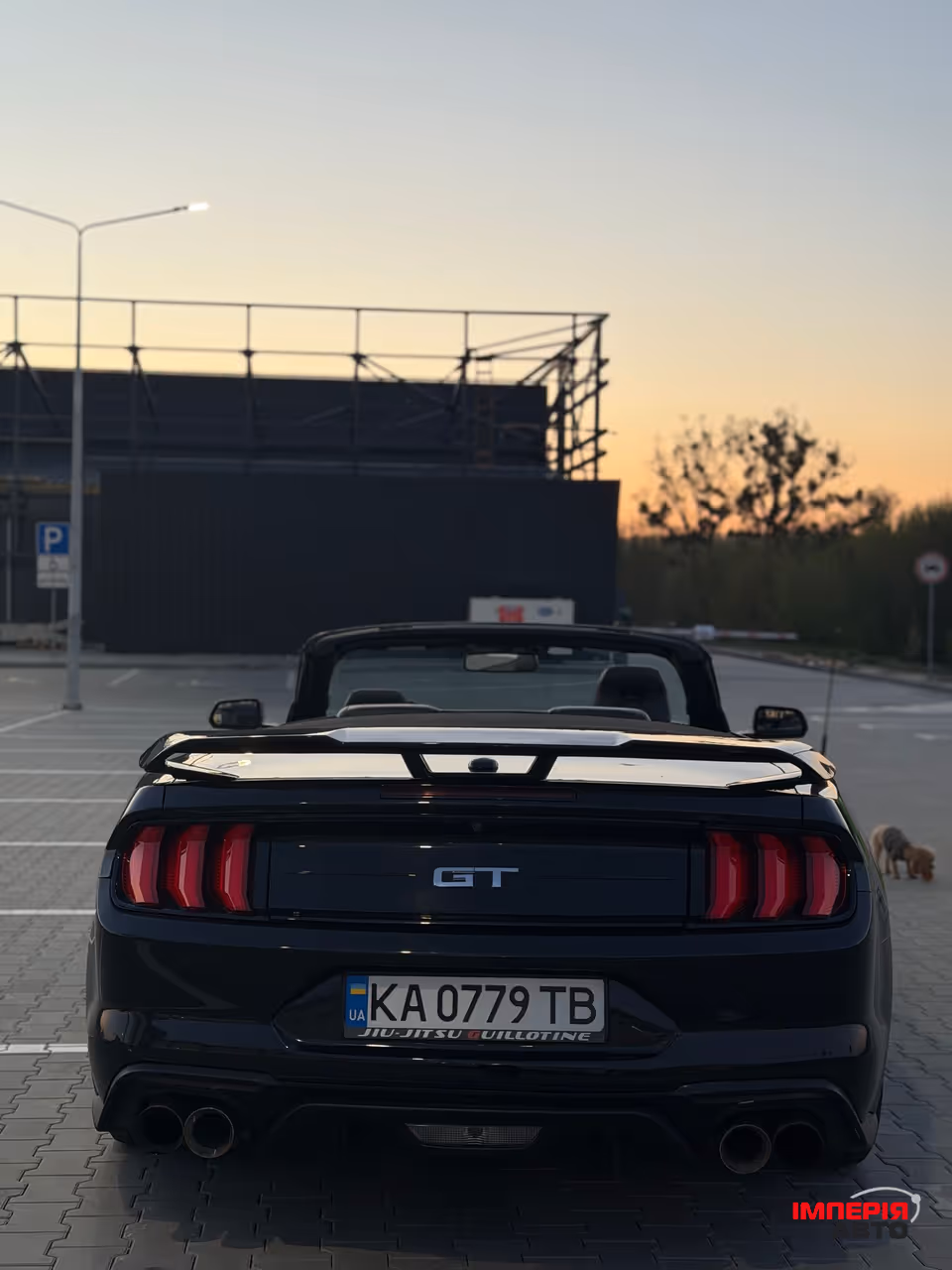 Ford Mustang - фото 3