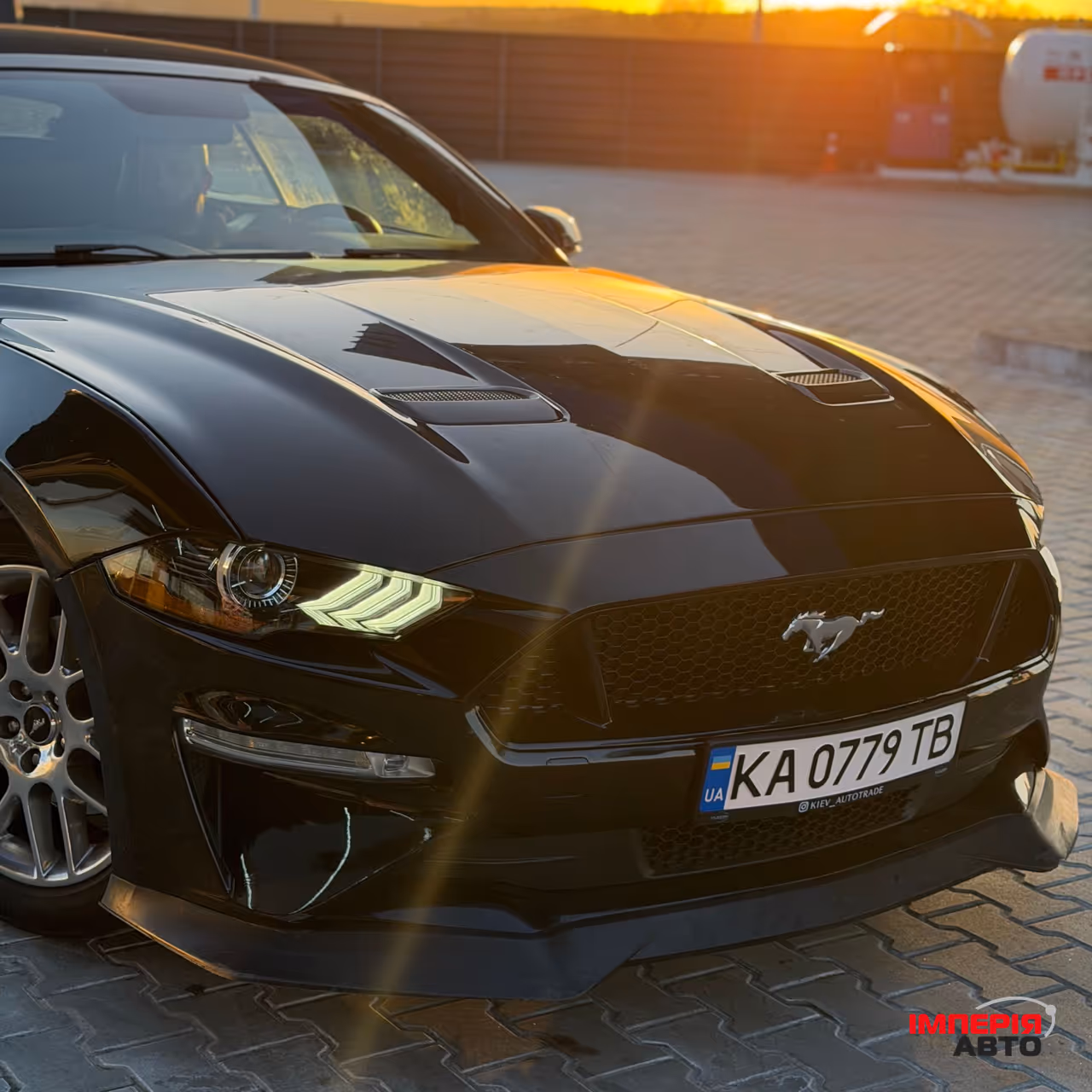 Ford Mustang - фото 8