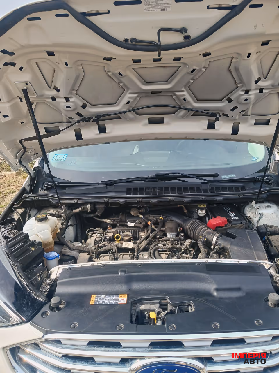 Ford Edge - фото 20