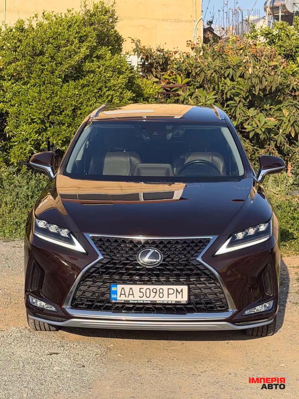 Lexus RX - фото 1