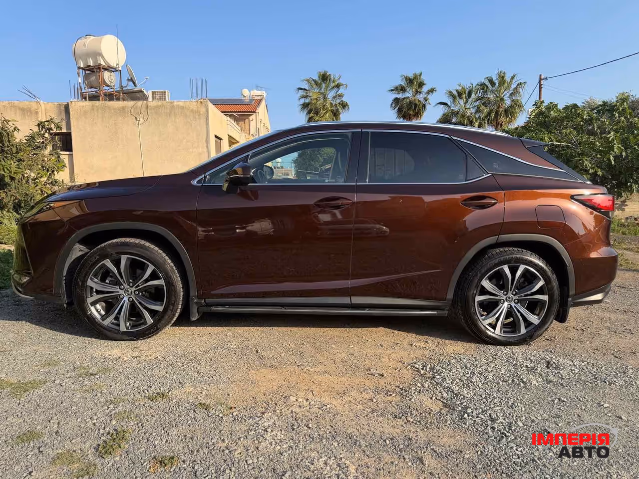 Lexus RX - фото 6