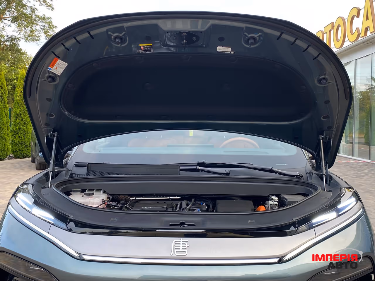 BYD Tang L - фото 70