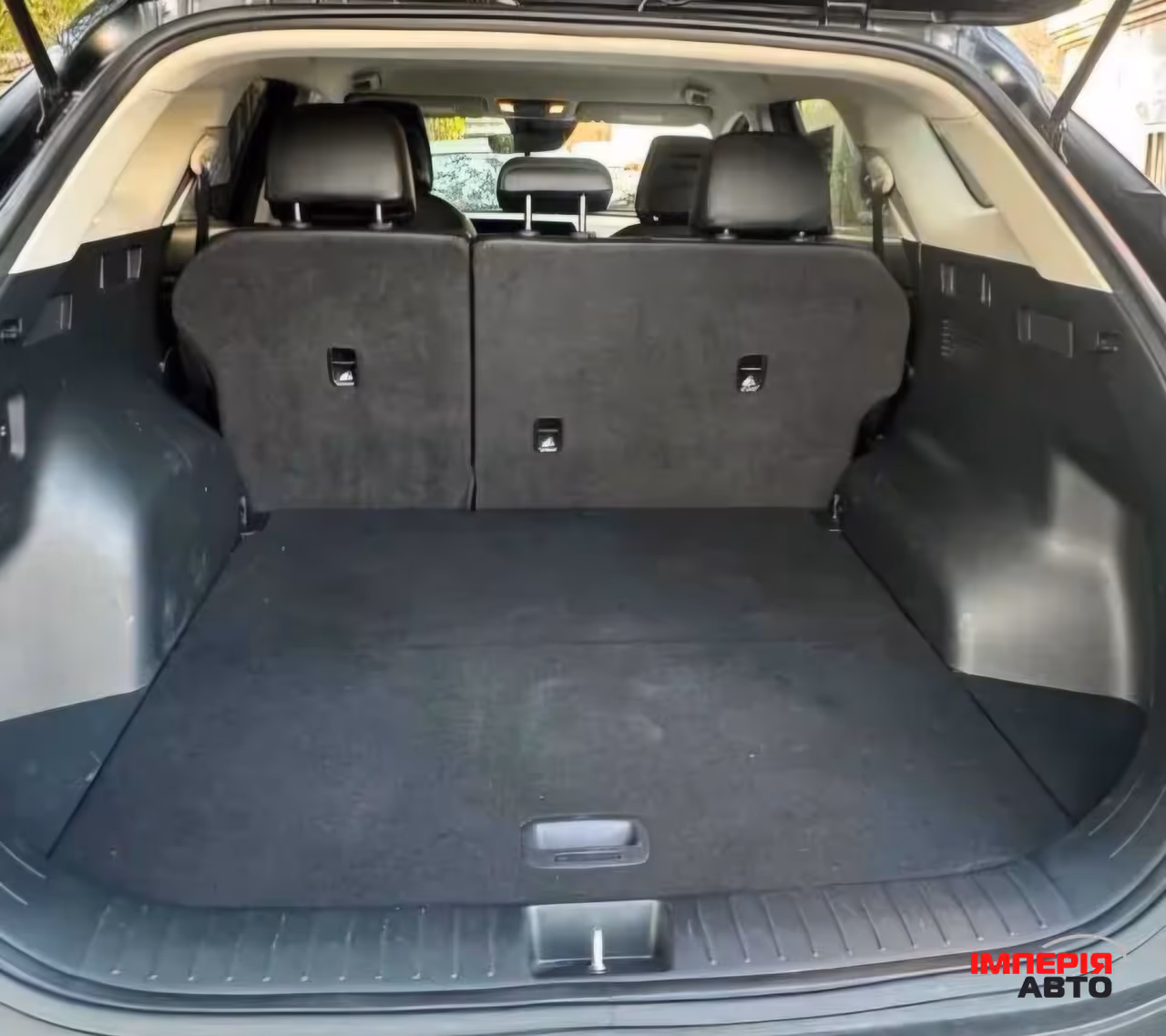 Kia Sportage - фото 6