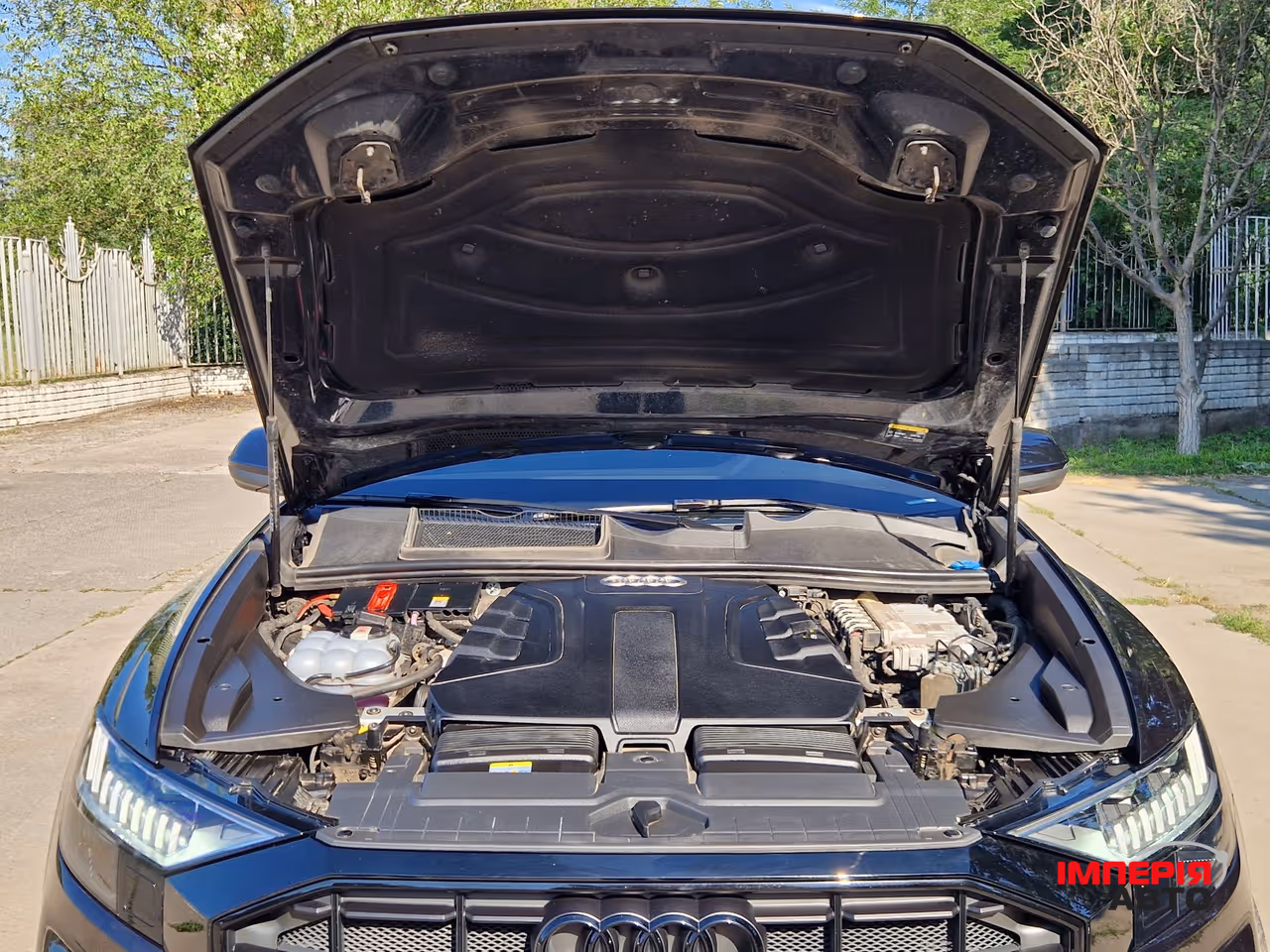 Audi Q8 - фото 41