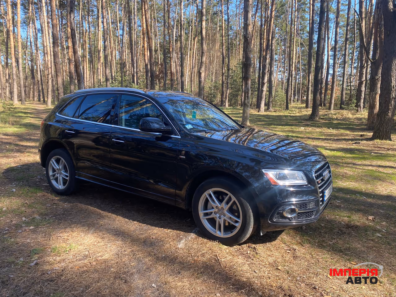 Audi Q5 - фото 2
