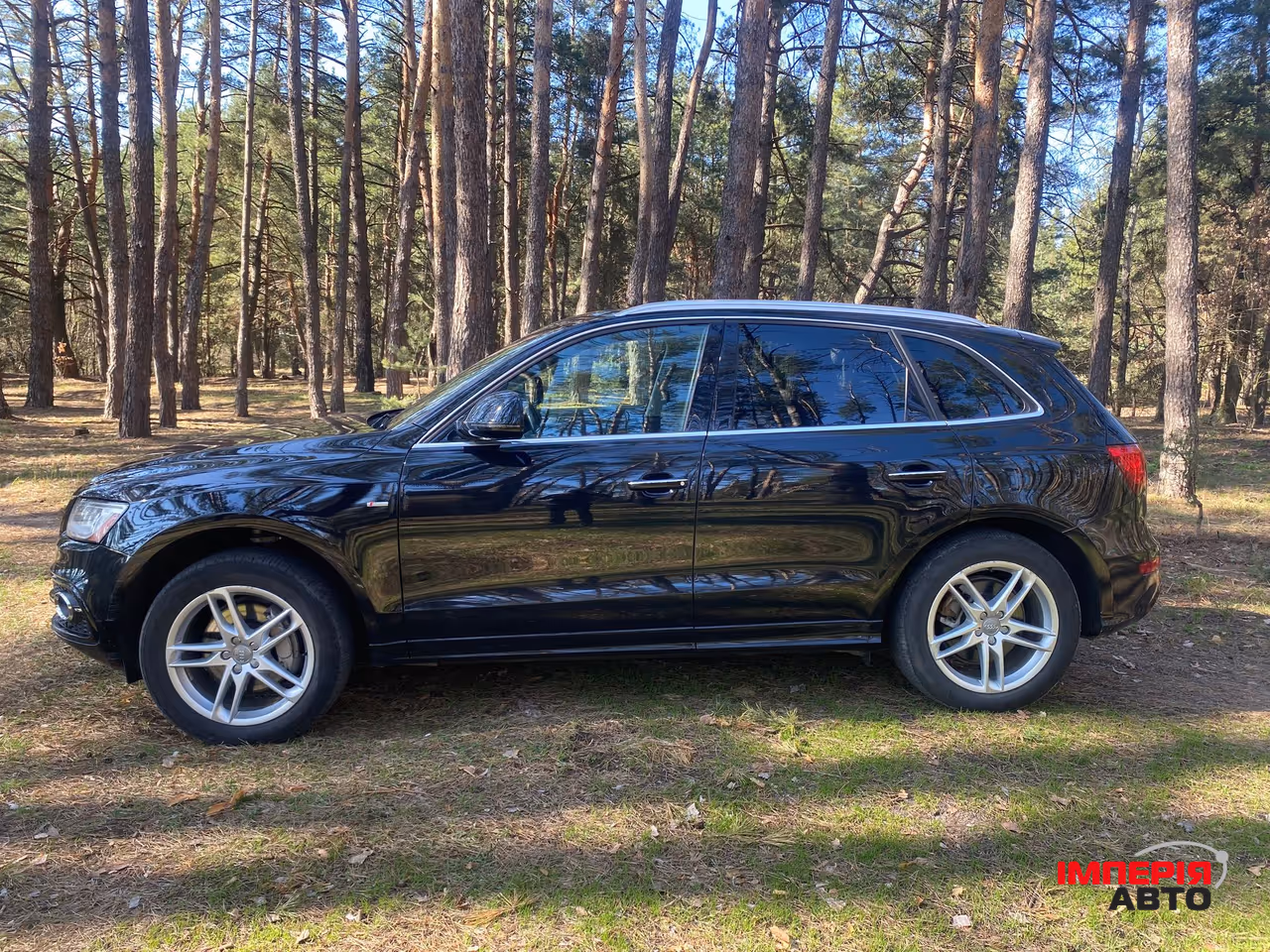 Audi Q5 - фото 8