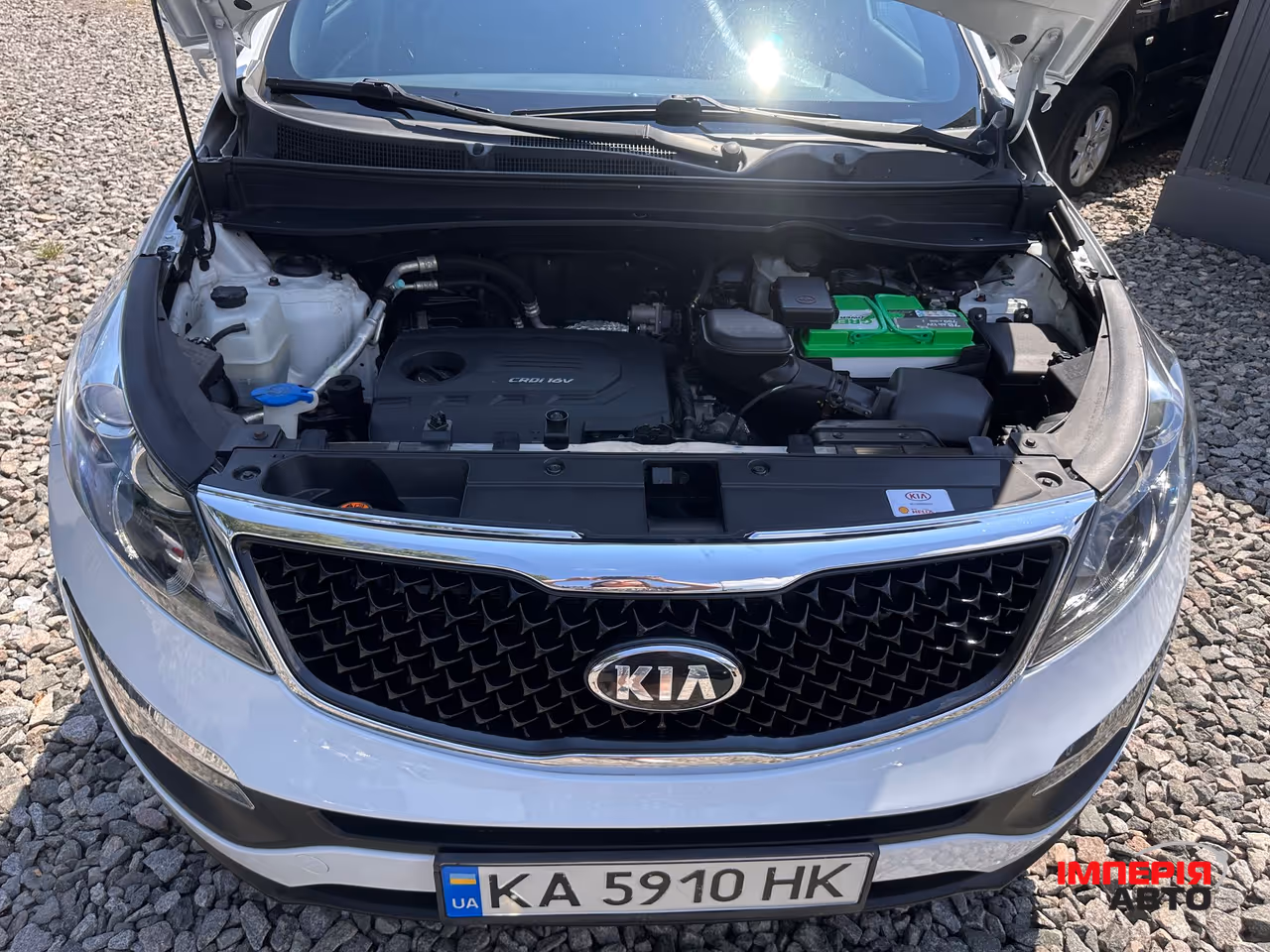 Kia Sportage - фото 6